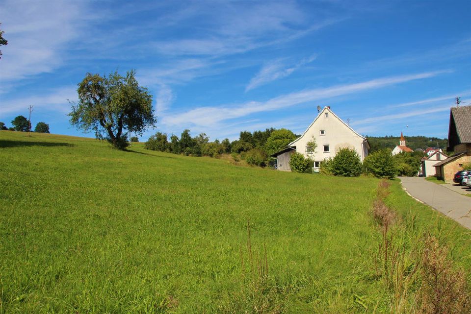 PREISREDUZIERUNG Naturliebhaber aufgepasst..... Ehemalige Hofstelle mit über 60.000 qm Land in Stockach