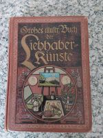 Antiquariat DAS GROßE BUCH DER LIEBHABERKÜNSTE 1913 Vintage Sachsen - Adorf-Vogtland Vorschau