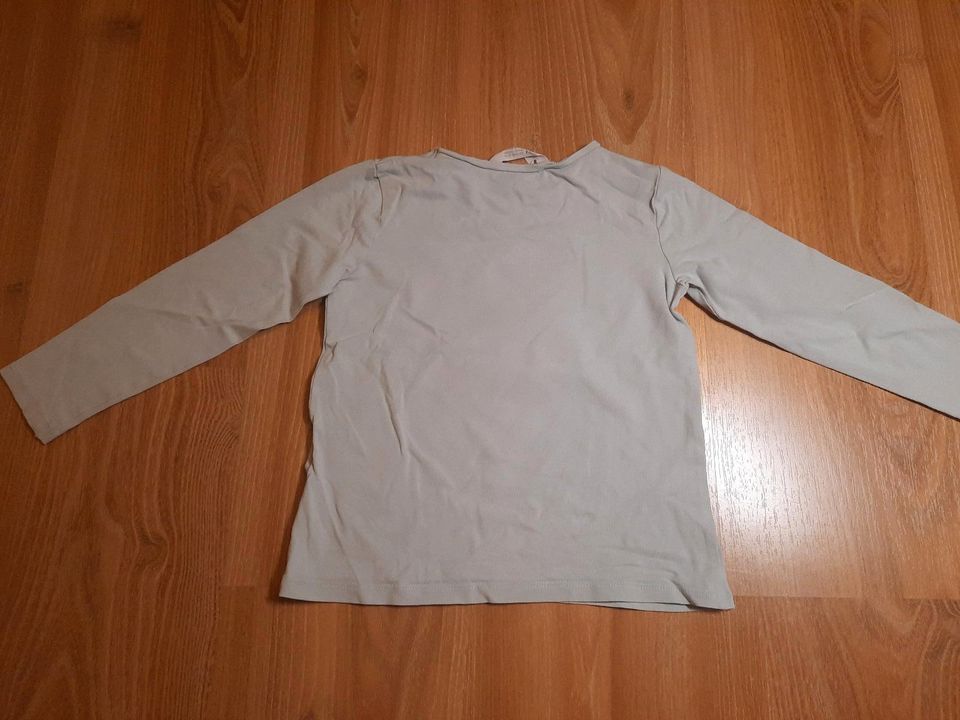 2 Langarmshirts Shirts Einhorn Gr. 110/116 von H&M in Leipzig