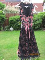 Dirndl Midi Edelnice Trachtenmode Größe 38 Hessen - Raunheim Vorschau