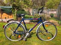 Herren Fahrrad 28 Zoll Prophete 21-Gang Trekking Alloy 7005 REC Nordrhein-Westfalen - Dinslaken Vorschau