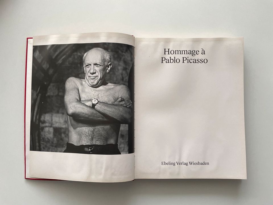 Hommage a Pablo Picasso Buch Bild Kunst in Hamburg