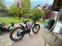 Kinderfahrrad 16 Zoll Fokus Raven Rookie Baden-Württemberg - Argenbühl Vorschau