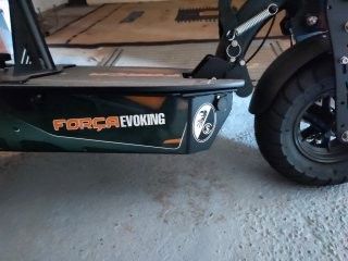 E-Roller Forca Evoking -IV in Neuenburg am Rhein