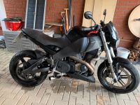 Buell xb12 s (stt) Niedersachsen - Bad Harzburg Vorschau