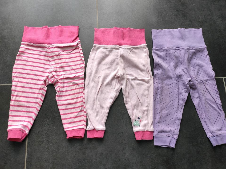 Mädchen Baby Leggings Gr. 74/80 in Erpolzheim