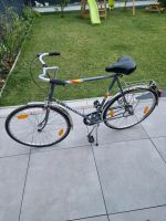 Peugeot Bordeaux Herrenrad Fahrrad Männer Rad 28 retro Vintage Nordrhein-Westfalen - Oberhausen Vorschau