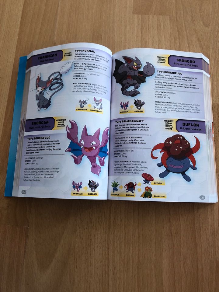 Pokémon Lexikon in Rhinow