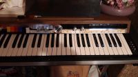 Vintage-Orgel, Keyboard von Tiger Niedersachsen - Großefehn Vorschau