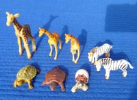 Schildkröten, Zebras & Giraffen (8er) - für den Spielzeugzoo Sachsen - Struppen Vorschau