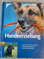 Hundeerziehung, Hunde Welpen Bayern - Riedenburg Vorschau