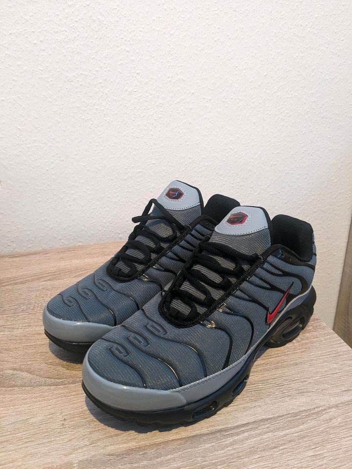 Nike Air Max Plus in Darmstadt