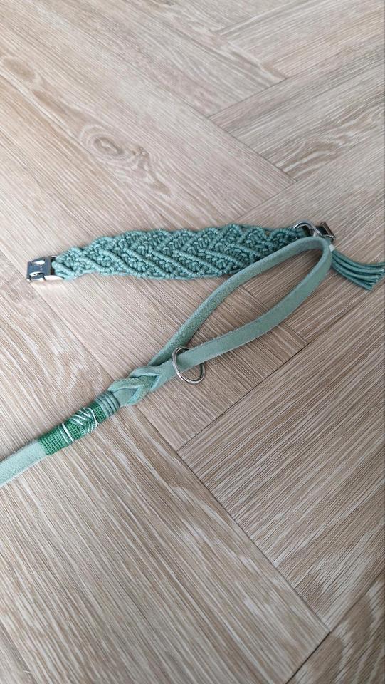 Halsband und Leine für Windspiel sehr klein mint in Magdeburg