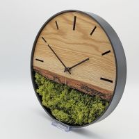 Wanduhr Moos und Eiche im Stahlring, Metall, Holz. Uhr mit Moos Süd - Niederrad Vorschau