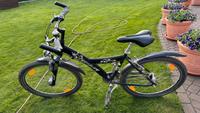26 Zoll Pegasus Fahrrad für Kinder Niedersachsen - Braunschweig Vorschau