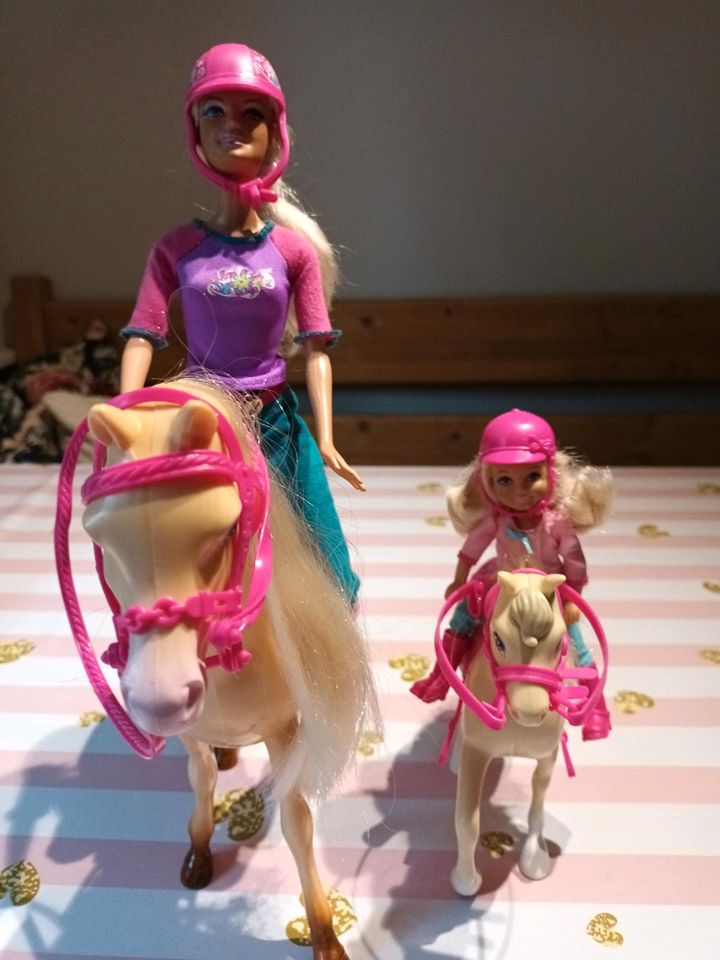 2 Barbie Pferde + Barbie in Steinheim