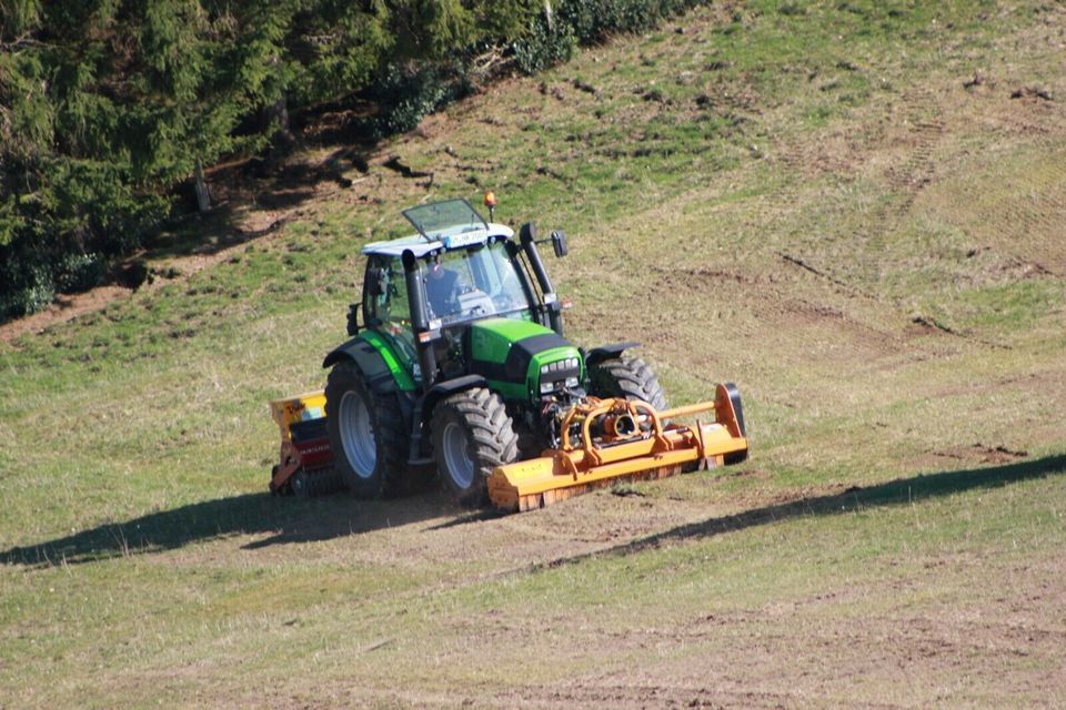 Wildschaden Beseitigung Wildschweinschäden beseitigen Schwarzwild in Wipperfürth