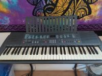 Yamaha PSR 200 Keyboard mit Ständer Nordrhein-Westfalen - Witten Vorschau