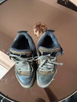 Jordan 4 Retro Craft grün Niedersachsen - Osnabrück Vorschau
