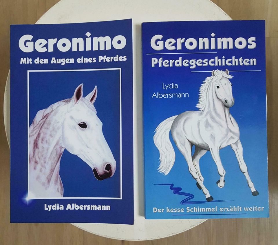 Bücher / Geronimo - Lydia Albersmann in Waldesch