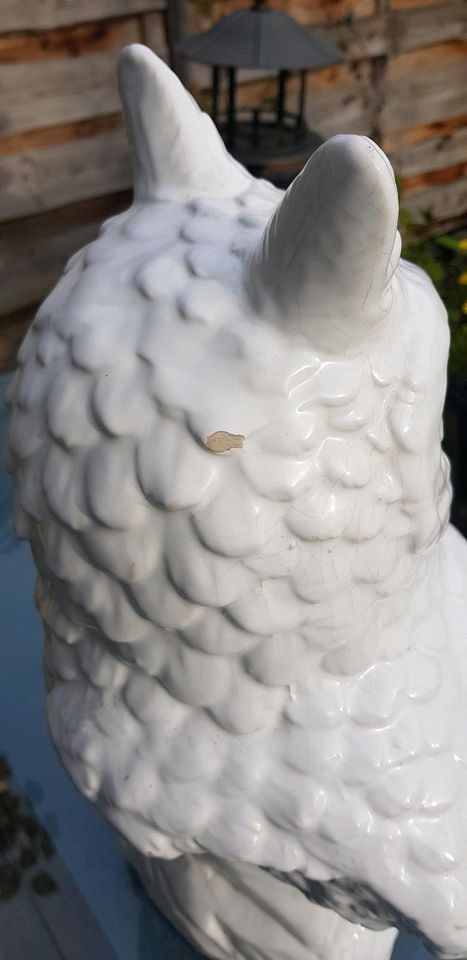 Ca. 50 cm Eule Keramik Vogel Schneeeule Deko Dekoration in Quickborn