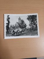 Postkarte/Ansichtskarte Haflinger Pferde, Italien Schleswig-Holstein - Bad Bramstedt Vorschau