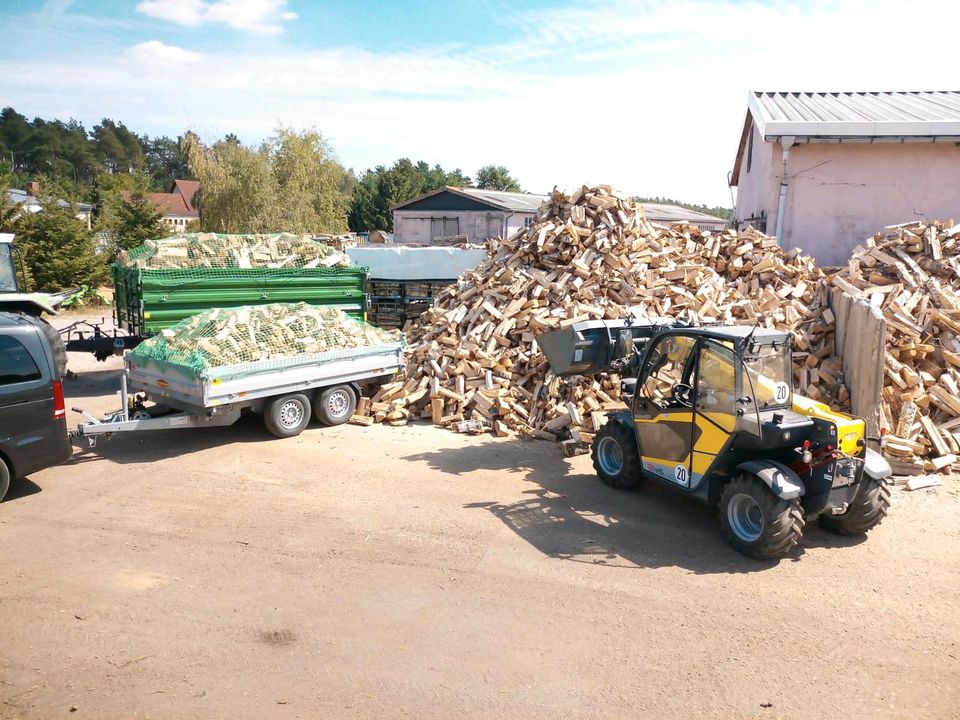 Kaminholz Brennholz Birke Eiche Kiefer in Belgern