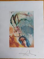 Salvador Dali, Lithographie signiert Baden-Württemberg - Reutlingen Vorschau