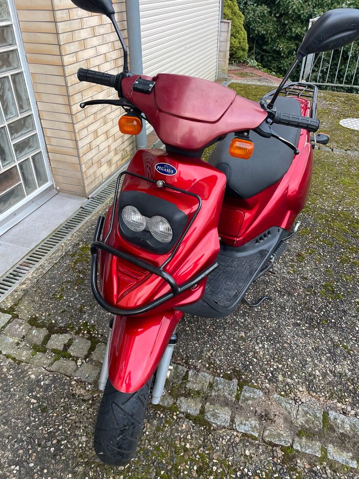 Pegasus Sky 50ccm Roller, Moped, 2-Takt, 45/50 km/h in Eitorf