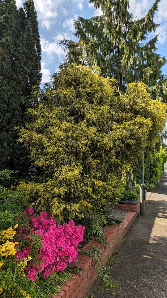 Von Privat:  Bungalow für Familie und Alter mit Gartenparadies in Düsseldorf