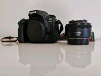 Canon EOS 90D (nur Body) Dortmund - Innenstadt-Nord Vorschau