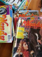 WENDY CONNY Pferde Comic Hefte Zeitschriften Lissy vintage rar Nordrhein-Westfalen - Gelsenkirchen Vorschau