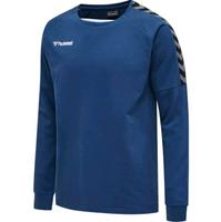 Hummel Authentic Training Sweatshirt 7045 205373 Sachsen - Schneeberg Vorschau