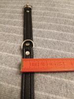 Halsband schwarz 27 cm NEU Nordrhein-Westfalen - Gronau (Westfalen) Vorschau