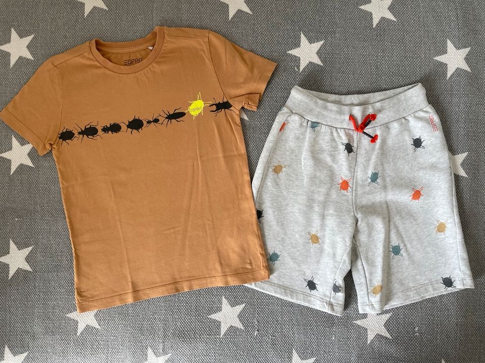 Esprit Set T-Shirt + kurze Hose Gr. 128/134 Käfer in Bruckberg bei Landshut