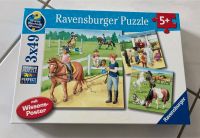 Wieso, weshalb, warum, Kinderpuzzle, Pferde, 3x49, Top Niedersachsen - Achim Vorschau
