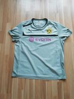 BVB Borussia Dortmund Trikot grau XXL Puma EVONIK Nordrhein-Westfalen - Neuss Vorschau