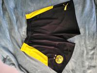 Puma Borussia Dortmund Training Shorts Hannover - Herrenhausen-Stöcken Vorschau