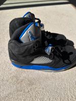 Air Jordan Sportschuhe Gr. 40.5 Brandenburg - Schönwalde-Glien Vorschau