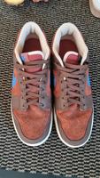 Nike Dunks Gr.45 braun Nordrhein-Westfalen - Tecklenburg Vorschau