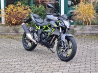 Kawasaki Z125 MY 2024 grau 1x sofort Brandenburg - Bad Liebenwerda Vorschau