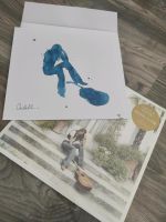 Carla Bruni signierte Lithographie und Vinyl LP Autogramm Limited Niedersachsen - Delmenhorst Vorschau