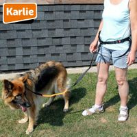 Karlie CaniCross Easy Bauchgürtel/Tasche elastische Joggingleine Bergedorf - Kirchwerder Vorschau