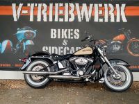 Harley Davidson Softail Classic FLSTC 2011 Nordrhein-Westfalen - Rietberg Vorschau