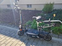 Sitz-E-Scooter (Moped-Zulassung) Baden-Württemberg - Friedrichshafen Vorschau