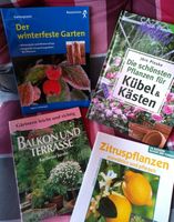 Balkon Terrassn Kübel und Kästen, Pflanzen Bücher 4 Stück zusam Bayern - Treuchtlingen Vorschau