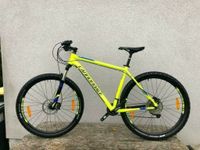 Cannondale Trail 1 29" Mountainbike, Shimano XT, Rockshox,wie neu Bayern - Geroldshausen Vorschau