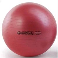 Pezziball Maxafe 65 cm rot + Pumpe Gymnastikball Sitzball Fitness Nordrhein-Westfalen - Frechen Vorschau