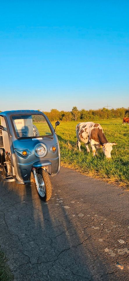 Cargo Runner "BIG", APEkiller,  PIAGGIOähnlich, Elektro Cargo, Lastenrad, Dreirad, elektrisch, Leichtkraftrad, Leichtmobil, kein TÜV, keine Steuern, Glücklichmacher in Mandelbachtal