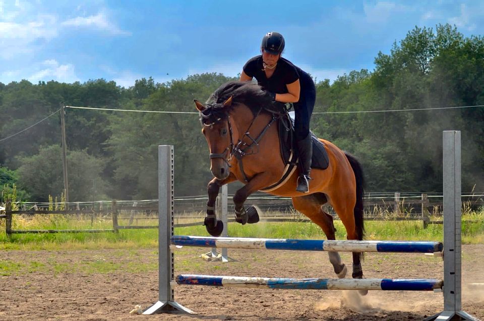 Reitbeteilgung in Neukirchen-Vluyn